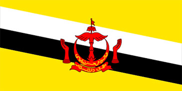 Minimize Brunei Flag