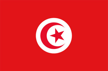 Minimize Tunisia Flag