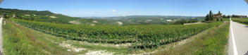 Panorama of Barolo in the Piemonte, Italy (2008)